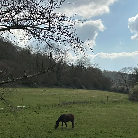Villa La Sifflerie *