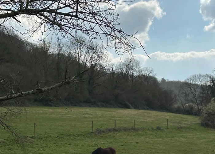 Βίλα La Sifflerie *